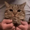 ура для вас и меня 6