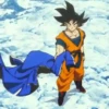 Son Goku | 15
