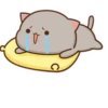 Peach cat 15