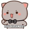 KUCINGKU 8