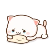 Peach cat 23