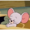 Tom& Jerry meme 13