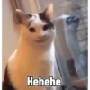 Ayang akooh 14