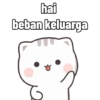 Kucing Cute Dua 6
