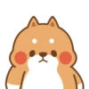 Cute cat and dog 18
