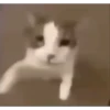 Reactions 8