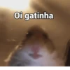 Reações 🤪 7