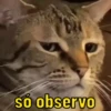 Expressões para reagir  8