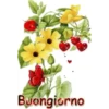 Buongiorno 19