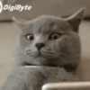 स्टिकर जो आपके पास होने चाहिए 7