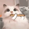 Animais engraçados 12