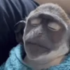 MEMES ANIMADOS😂😂 12