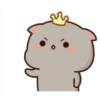 KUCINGKU 9