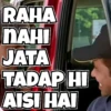 Memes 12