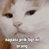 Gatau mls ucul bgt😳 10