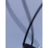Random animated 25
