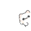 Cat animation, lucu 15