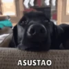 Memes pt. 4 13
