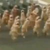 анимированный тикток 9