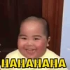 Animated MEMEs 12