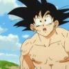 Son Goku | 28