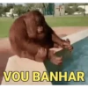 Memes, reações e deboche 5