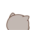 Peach Cat (6) 17