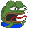 The Pepe Frog 6