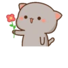 Peach cat 11