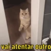 REAÇÕES & SURTOS  5