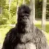 Animated Memes 7