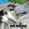 KUCINGIMOETSZ 7