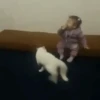 Animados para tu chat 4 14