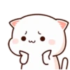 Peach cat 21