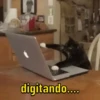 Memes pra vc baixar 12