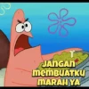Patrick 5