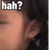 Gemoy lagi gemoy lagi 2