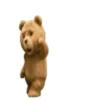 Memes Ted 🧸 7