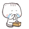 KITTY CHAN 6