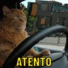 Você já tem essas 5