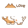 Cute cat and dog 30