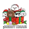 Natal 14