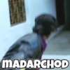 Memes 14