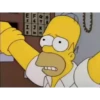 The simpsons 21