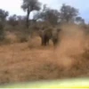 Crazy Gif 11