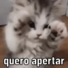 PACOTE FOFURA 💕🥰😻 8