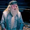 Harry Potter 16