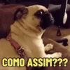Usa aí pra reagir 11