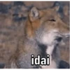 Memes pra vc baixar 14