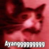 Ayang akooh 10